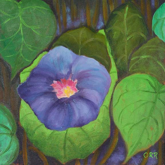 img= Morning
          Glory 10x10