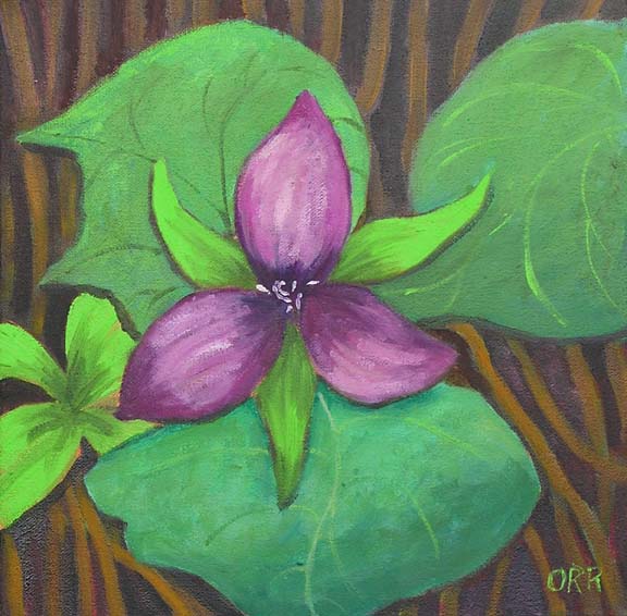 img= Red Trillium 10x10