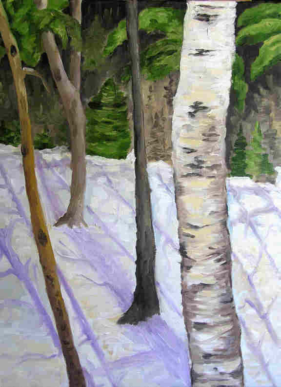 image=Trees Along the Trail 16x12